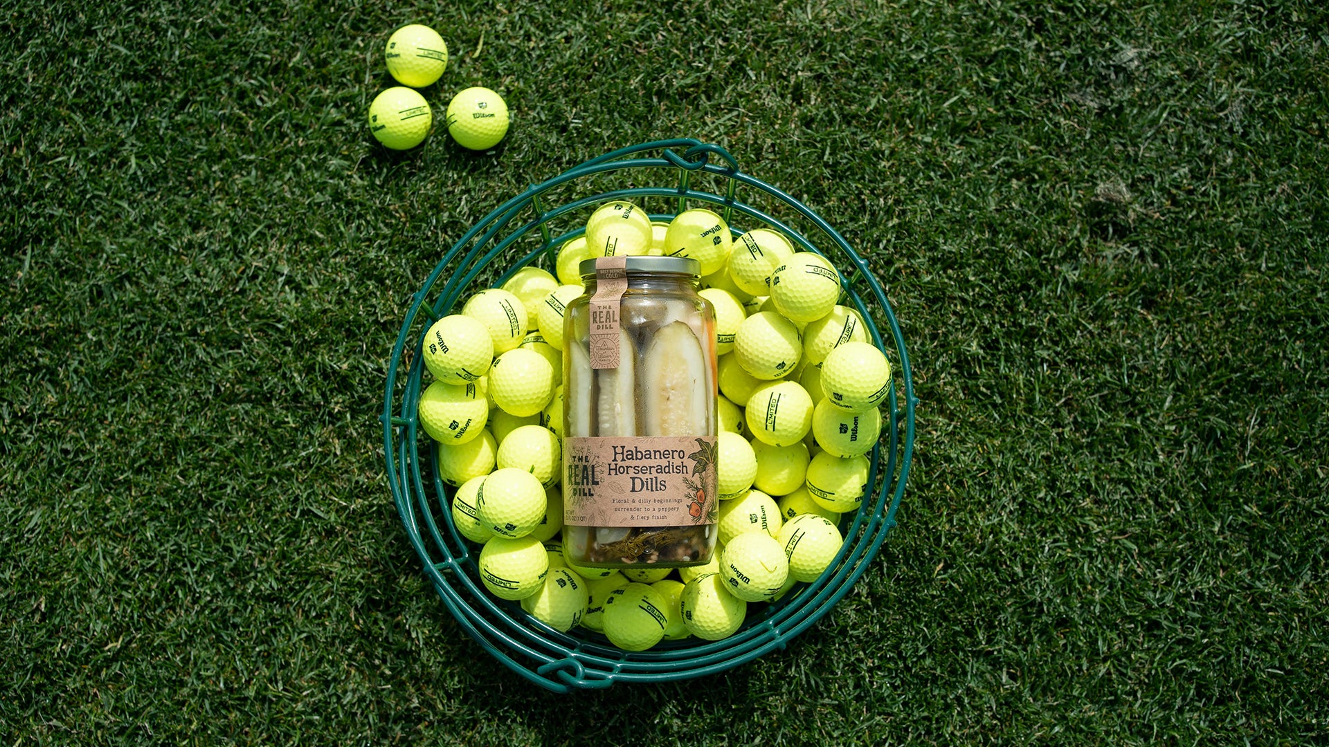 Father's Day Gifts That Are The Real Dill