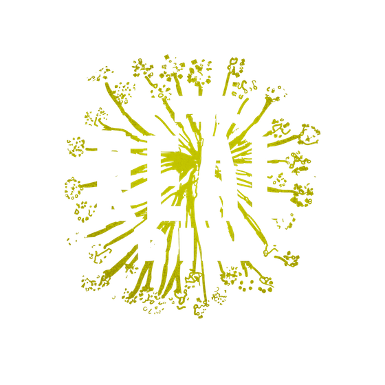 The Real Dill®