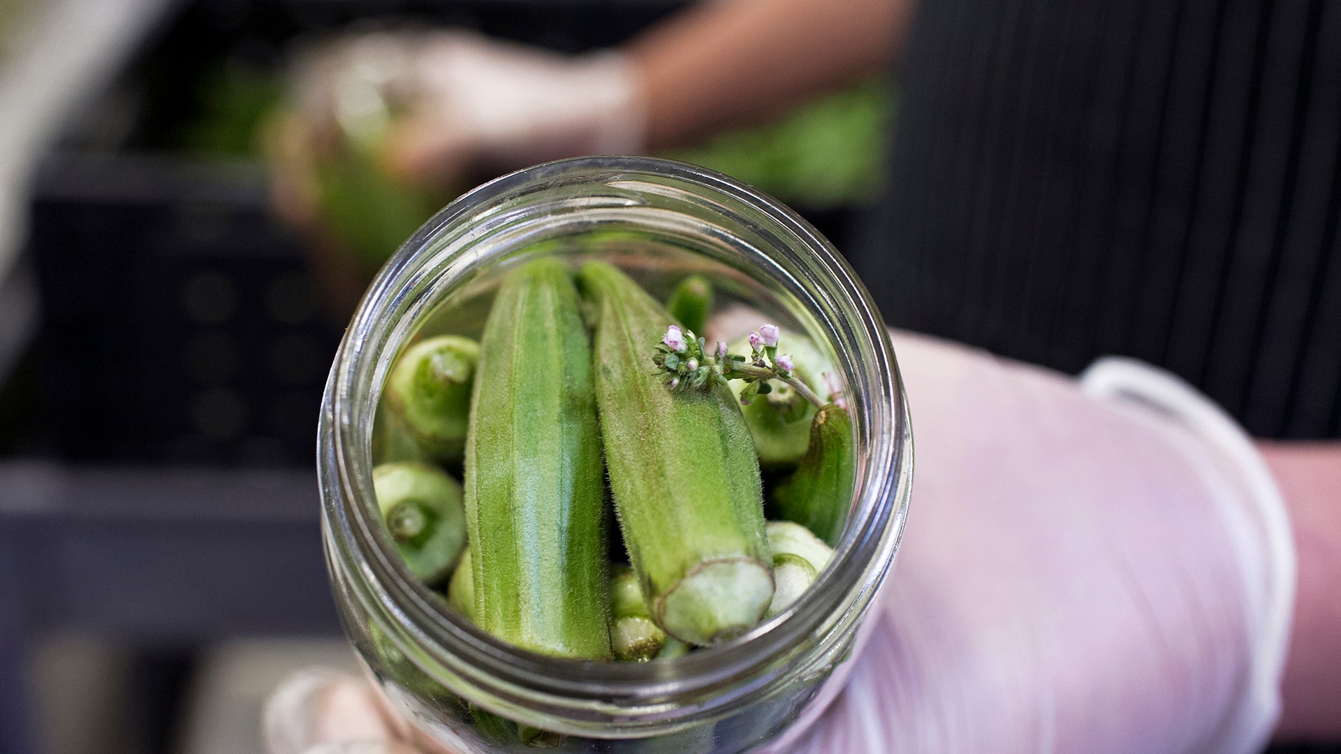 Creole Spiced Okra Is Back!